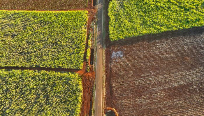 Foto: Arnaldo Neto/AEN Com investimentos, Paraná alcança melhor condição das rodovias dos últimos 23 anos